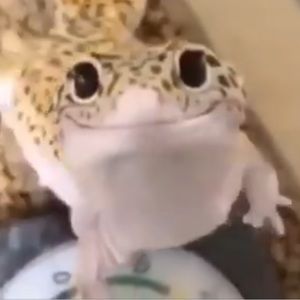 Meet your Posher, Deedee